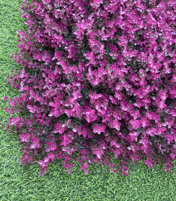eucalyptus-purple-unicolor-mi-piso-ideal
