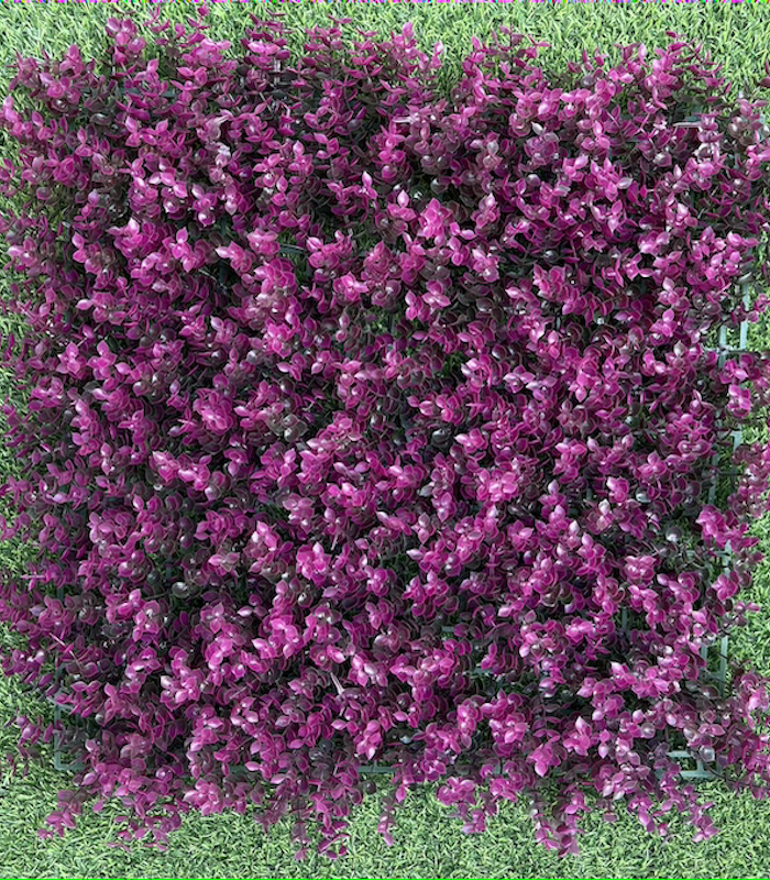 eucalyptus-purple-unicolor-mi-piso-ideal